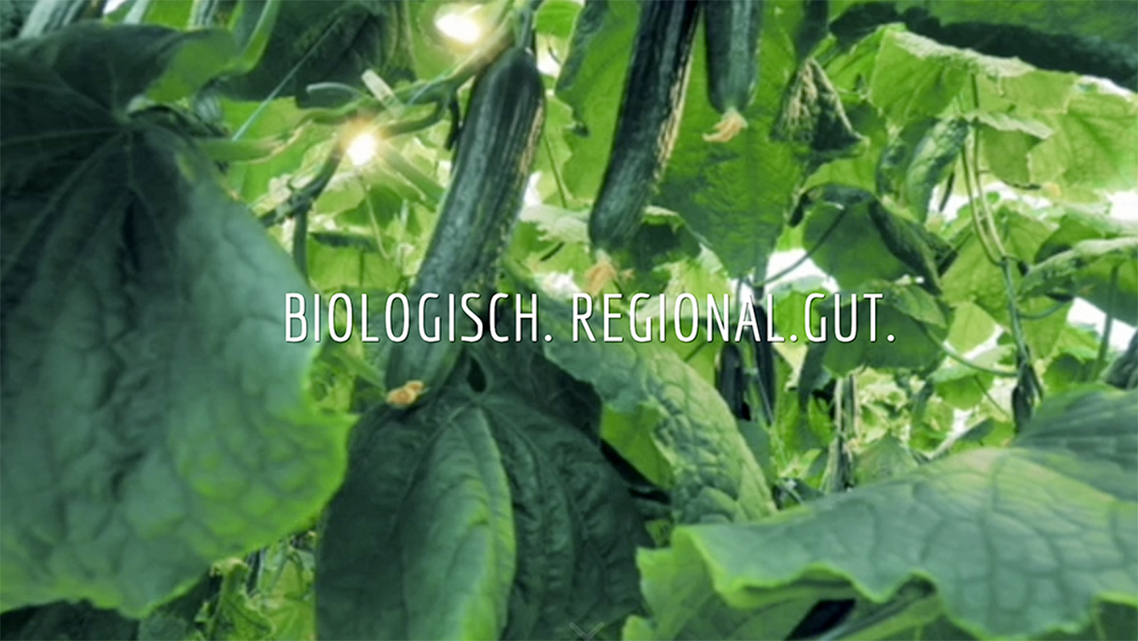 Höfler GbR Bio-Gemüse Nürnberg